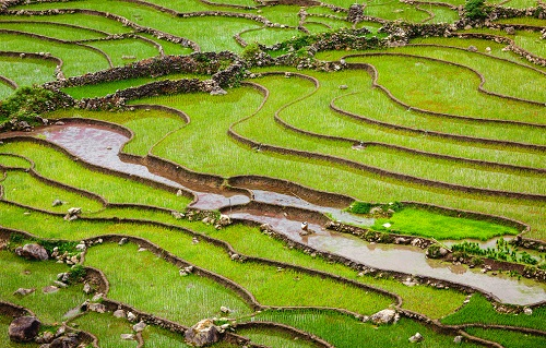 土壤水勢(shì)測(cè)定儀的主要作用(為什么要用土壤水勢(shì)儀測(cè)量？)