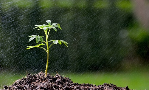 土壤水分測試儀監測農田墑情！用土壤墑情測試儀如何做好墑情監測？