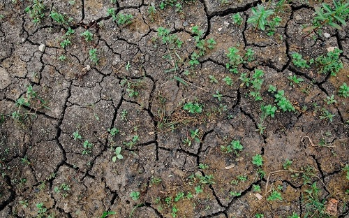 什么是土壤團粒結構，土壤團粒結構分析儀來分析