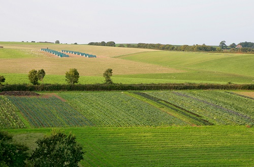 現代農業要快速發展，離不開科技產品“土壤養分儀”的應用