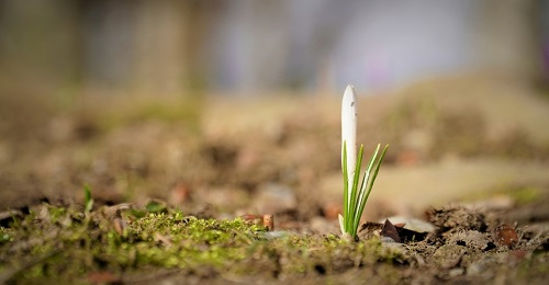 土壤團粒結構分析儀:農業豐產穩產的技術保障 土壤團粒結構分析儀:農業豐產穩產的技術保障