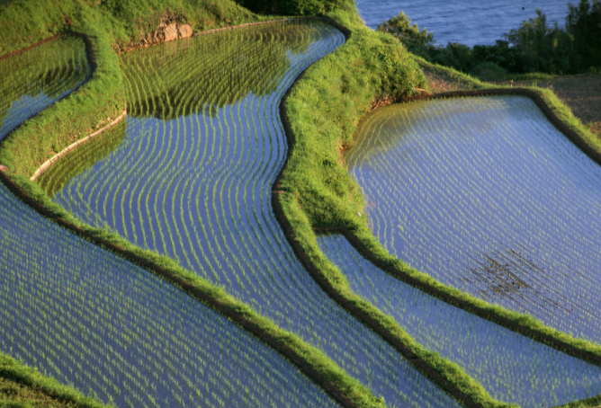 土壤水分速測儀能滿足作物精準灌溉嗎?用戶需要什么樣的土壤水分速測儀? 土壤水分速測儀能滿足作物精準灌溉嗎?用戶需要什么樣的土壤水分速測儀?