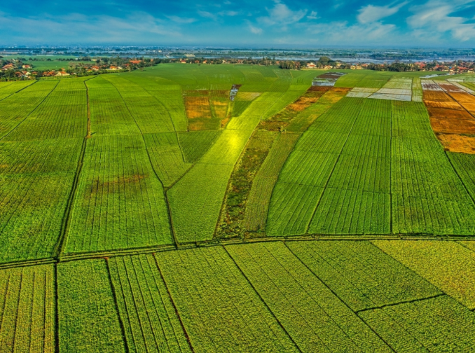 測土儀科學辨別土壤”肥瘦，測土配方，施肥有方