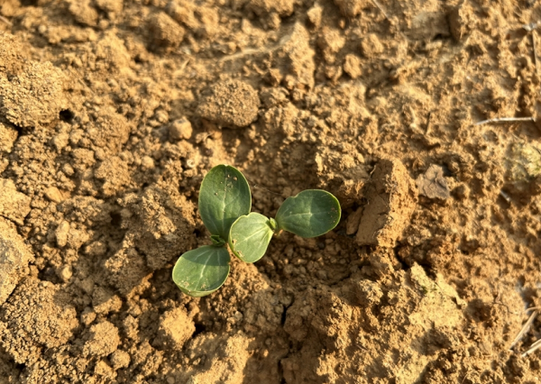 如何挑選合適的土壤團聚粒檢測儀器？這里推薦萊恩德