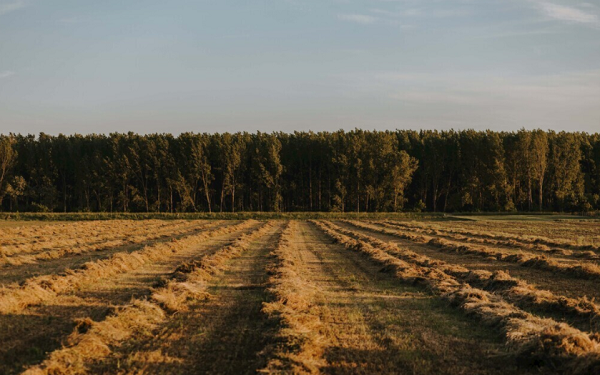 土壤墑情速測儀服務(wù)種植管理，推動(dòng)現(xiàn)代農(nóng)業(yè)健康發(fā)展