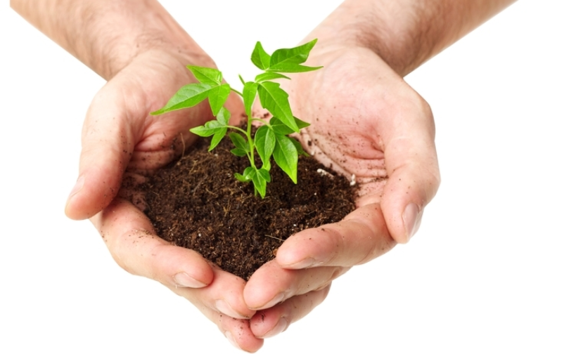 土壤pH檢測儀什么牌子好？（土壤pH檢測儀品牌推薦）