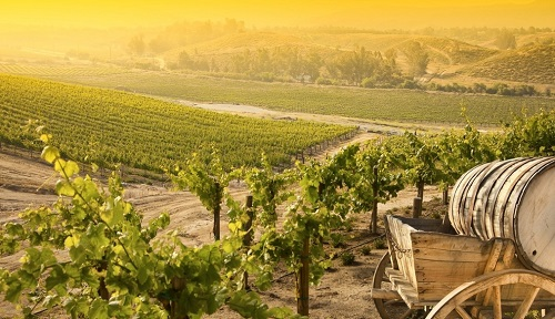 土壤水分溫度測定儀：精耕細作的基礎儀器