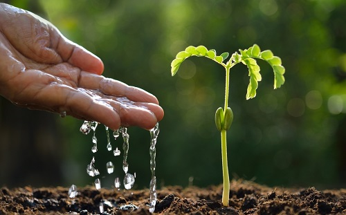 土壤墑情監測儀：精準灌溉科技的又一成果