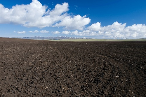 科學施肥推廣----應用土壤養分速測儀實現節肥增效 科學施肥推廣----應用土壤養分速測儀實現節肥增效