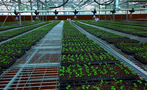 土壤重金屬快速檢測儀的介紹，它有哪些優勢？