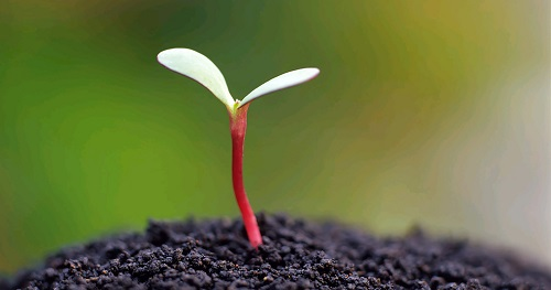 土壤墑情測定儀哪里買？國內有哪些比較靠譜？