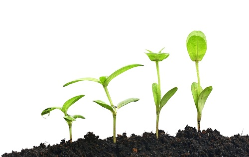 應(yīng)用土壤肥料養(yǎng)分檢測(cè)儀了解土壤性質(zhì),合理搭配施用化肥 應(yīng)用土壤肥料養(yǎng)分檢測(cè)儀了解土壤性質(zhì),合理搭配施用化肥