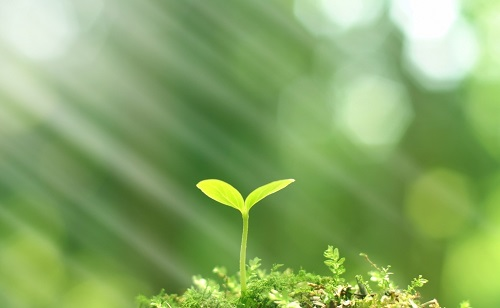 推廣測(cè)土配方施肥技術(shù)的有哪些好處？