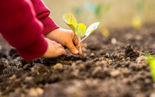 為什么要給土壤做檢測？土壤養分速測儀在土壤養分管理中的重要作用